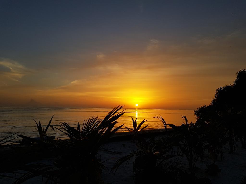 Island Guest 호텔 Maamendhoo 외부 사진
