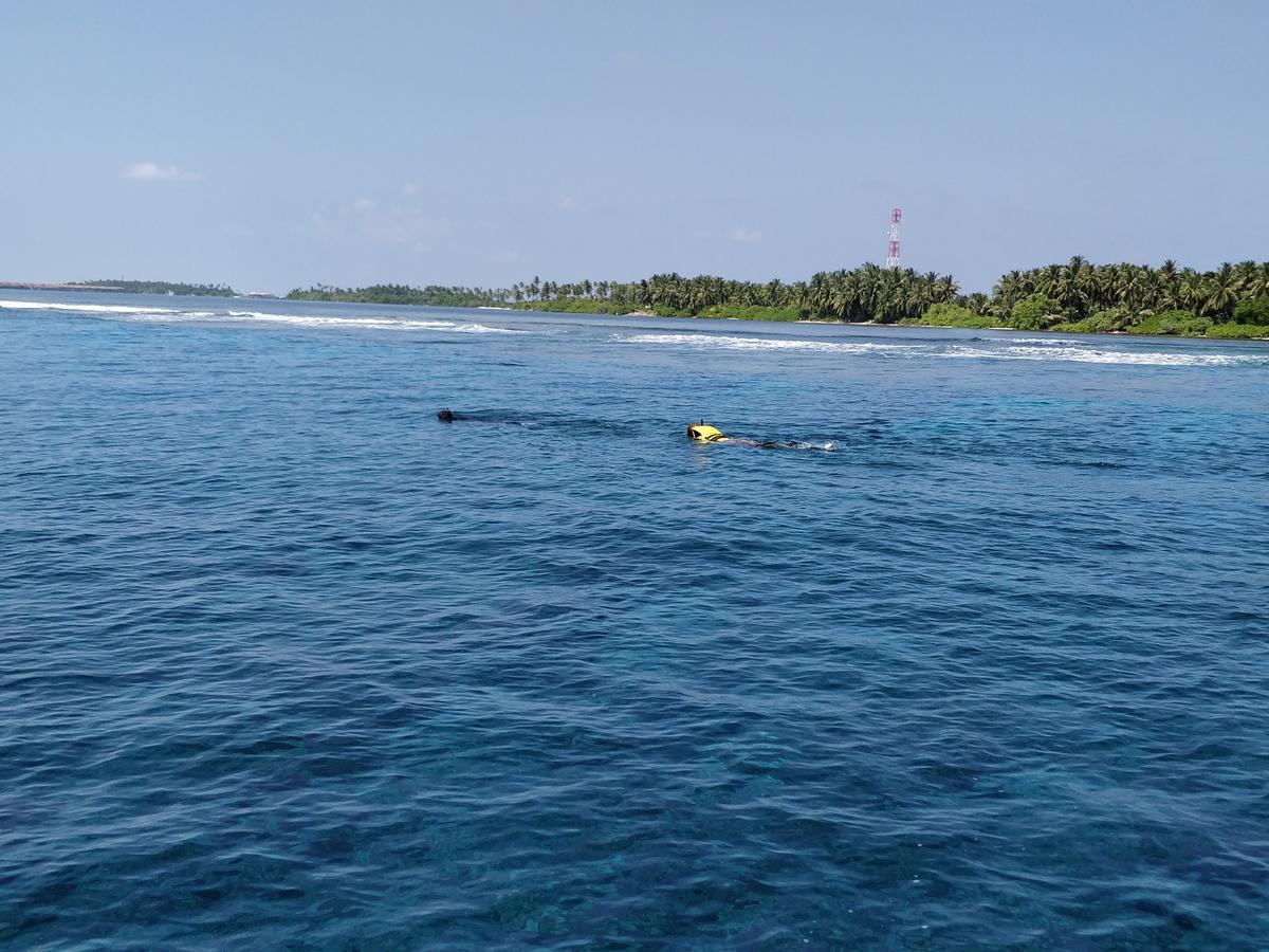 Island Guest 호텔 Maamendhoo 외부 사진