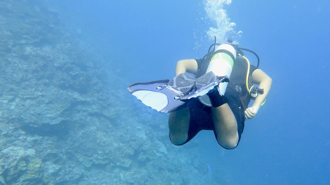 Island Guest 호텔 Maamendhoo 외부 사진